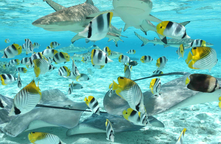 bd70a3dcc189e5fd2e4e5865c7ca17c8