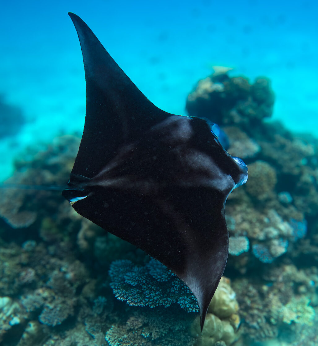 DCIM100GOPROGOPR0948.JPG